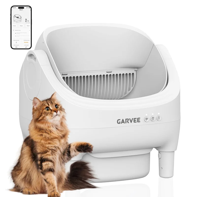 garvee4853804