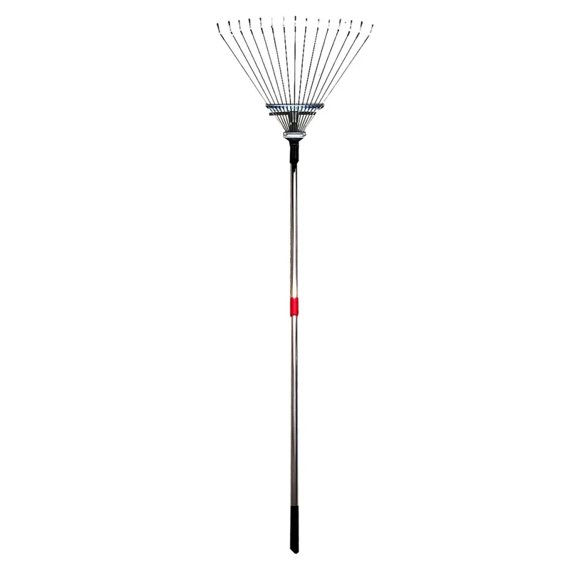 ibspot-24522785