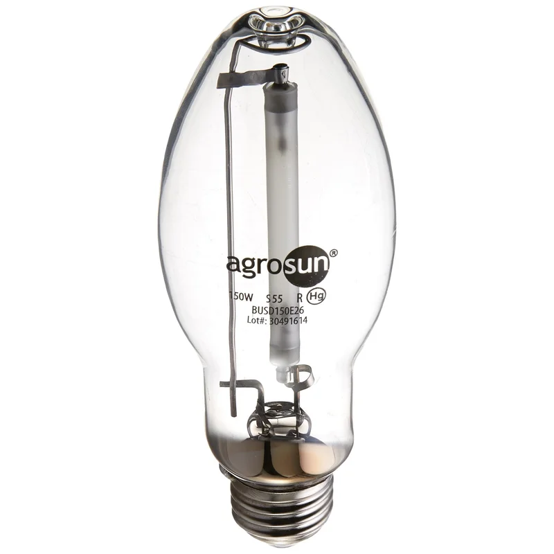 ibspot-24836211