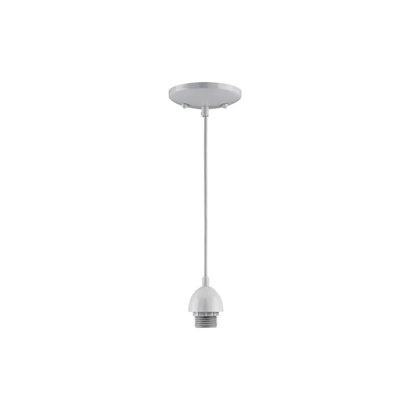 ibspot-25808296
