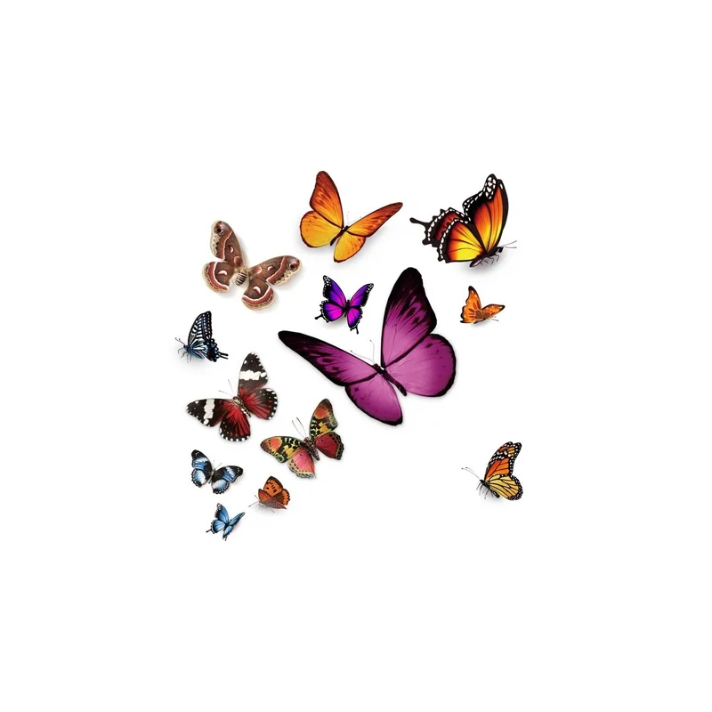 ibspot-34787969