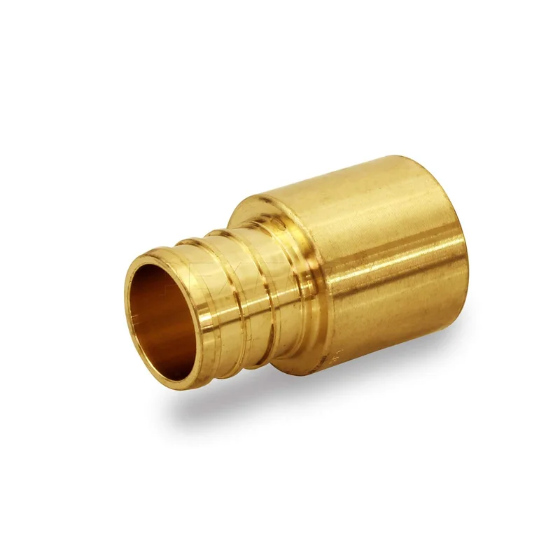 ibspot-45162642