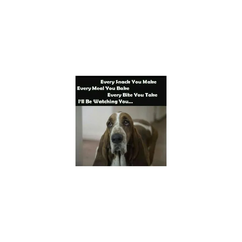 ibspot-54309693