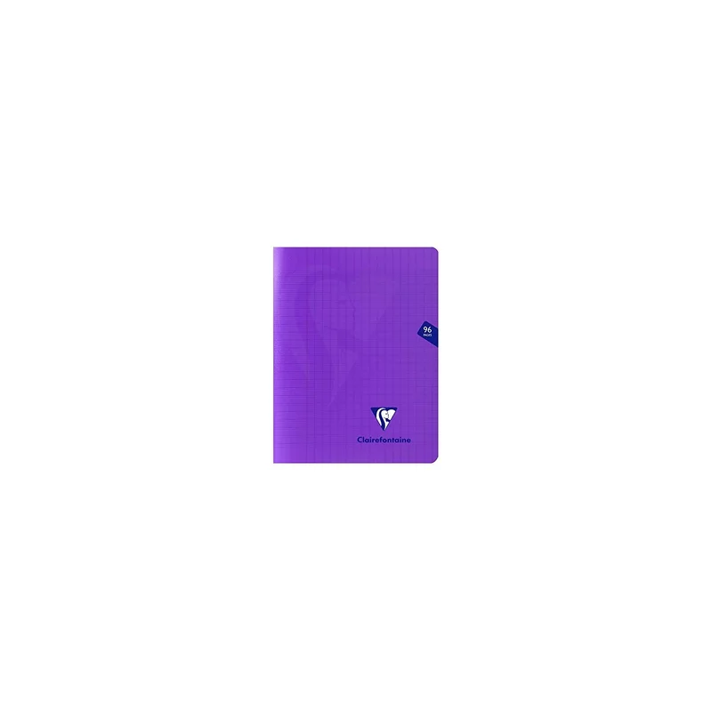 ibspot-55079130