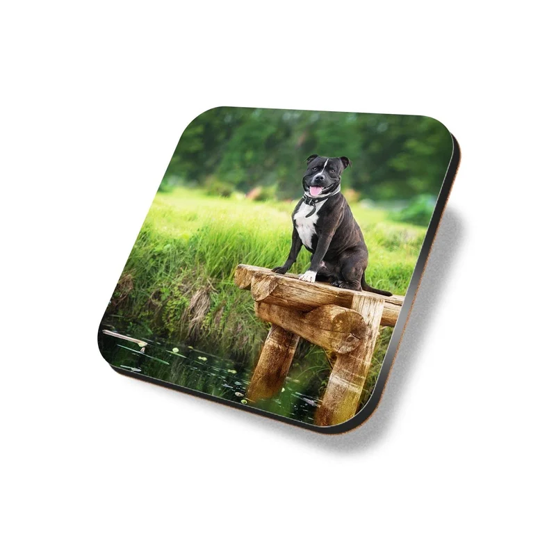 ibspot-55534813