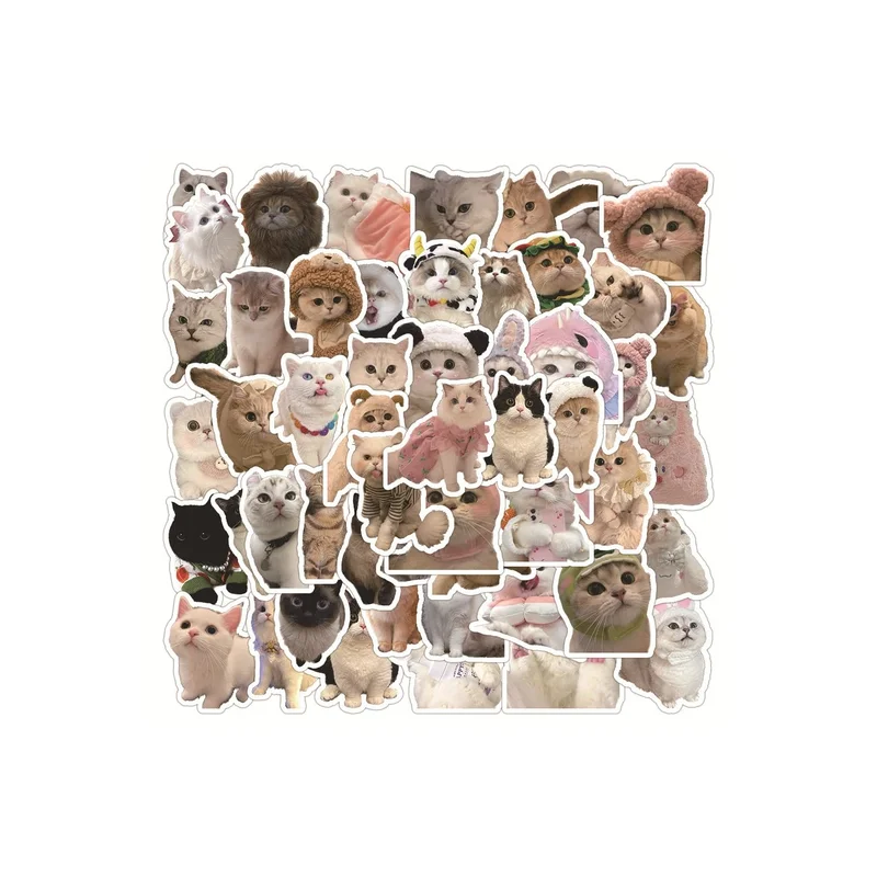 ibspot-55572900