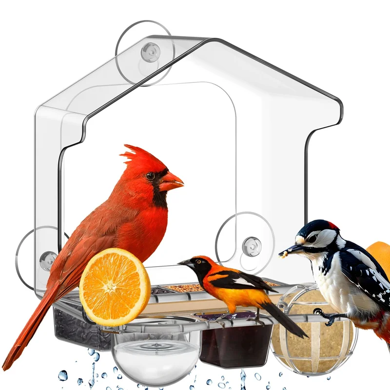 ibspot-55646985