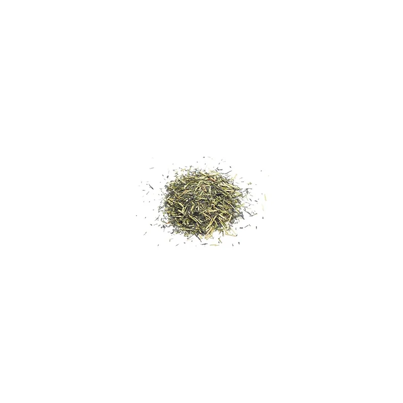 ibspot-55801803