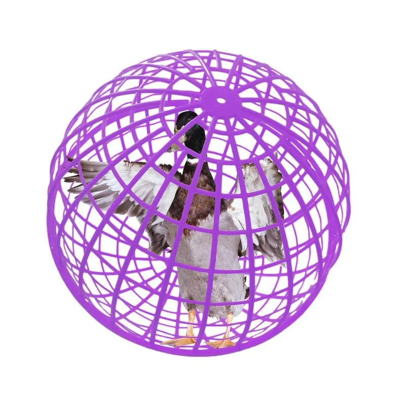 ibspot-55970534