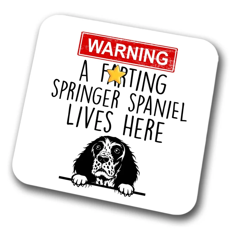 ibspot-56668049