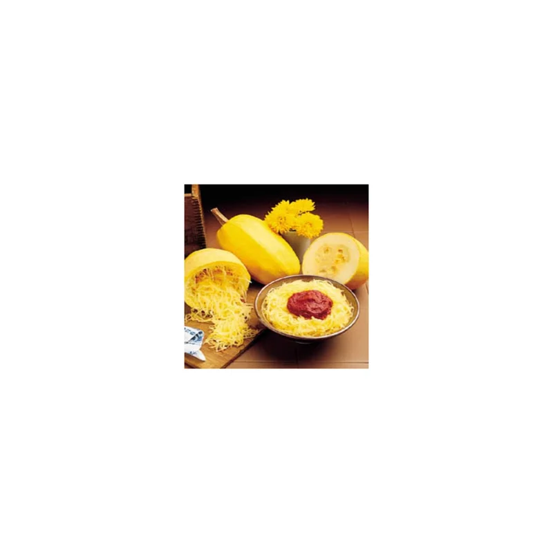 ibspot-56773458