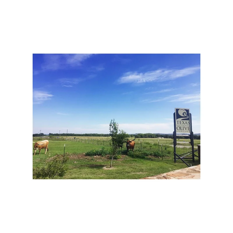 ibspot4988912