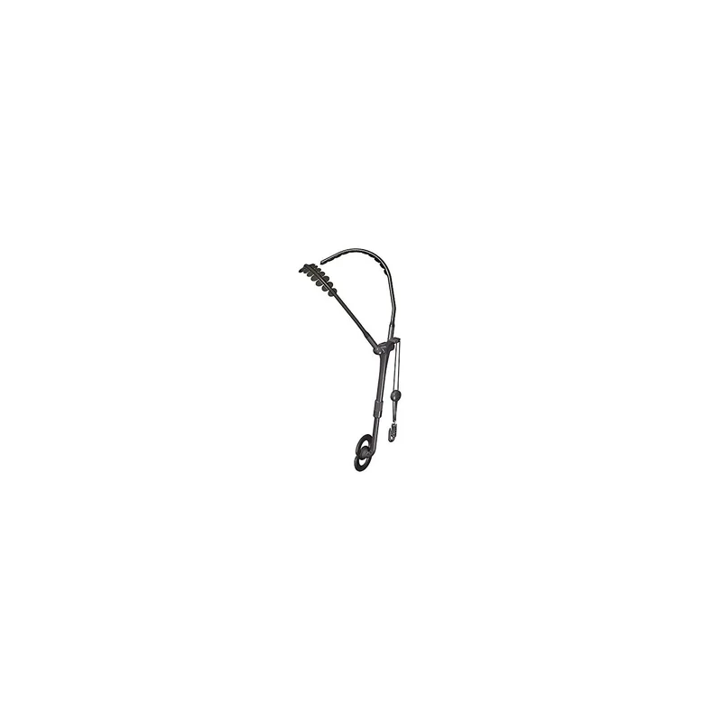 ibspot5480516