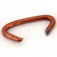 pettigrew-online4139877