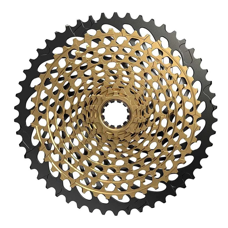 quantavici6635015