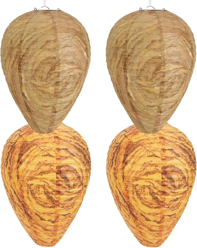 zeebooth-14506434