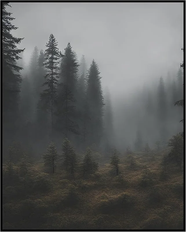 zeebooth-44176165