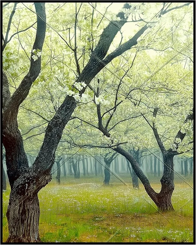 zeebooth-44192659