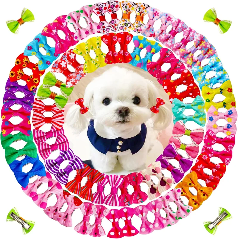 zeebooth-44451058