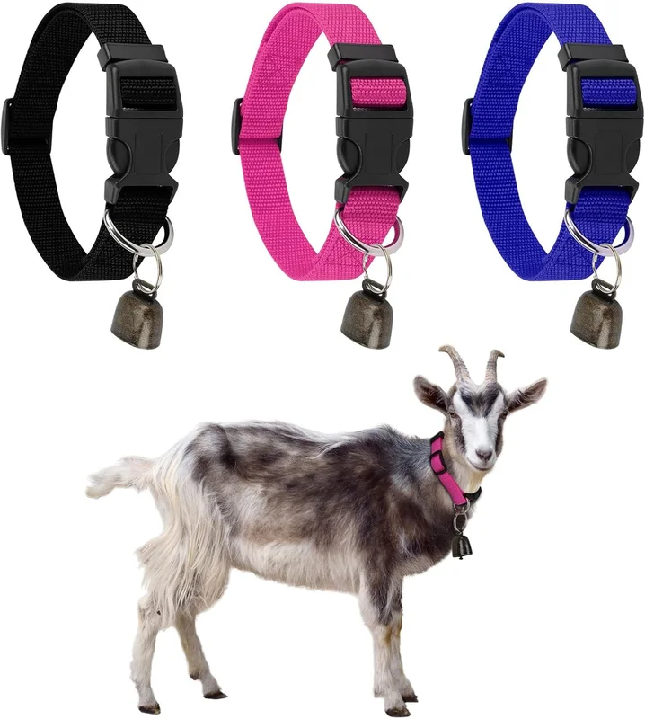 zeebooth-44558036