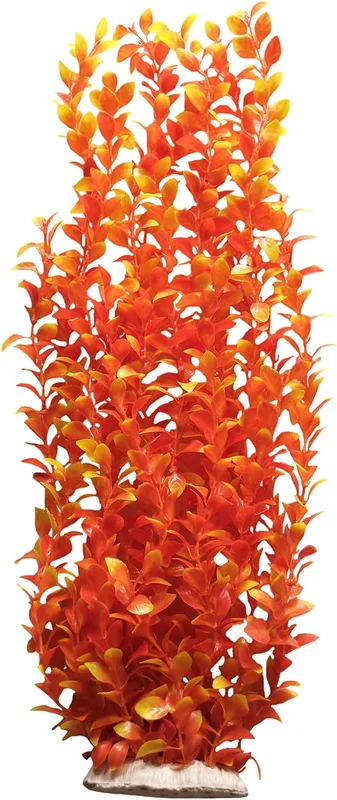 zeebooth-44598695